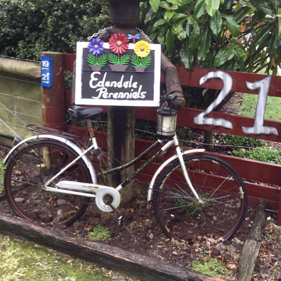 Edendale Perennials Edendale Perennials