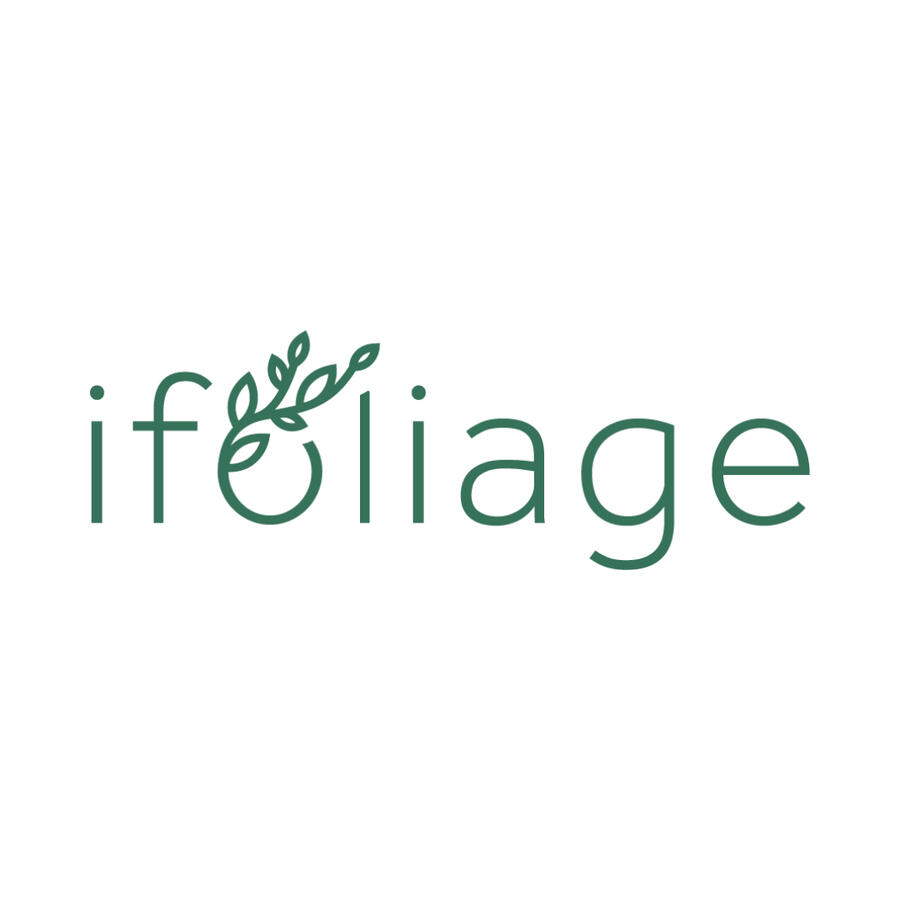 The owner of Botanica Market and plant collector of Hoya, Anthurium and Alocasias sharing her passion for plants through selling her propagations.