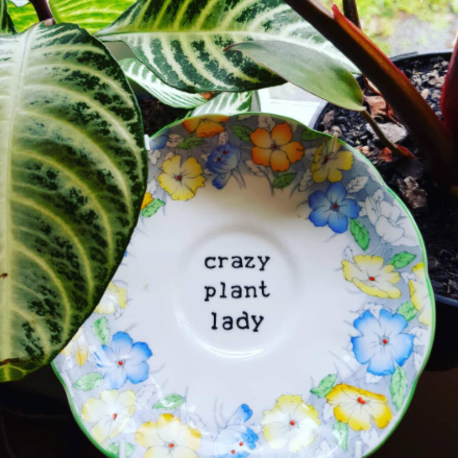 Local plant collector and host of the Botanica Market loving growing plants from her own collection for each market.