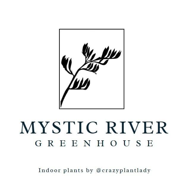 Mystic River Indoor plants
